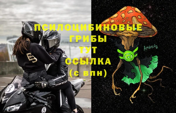 ПСИЛОЦИБИНОВЫЕ ГРИБЫ Волосово
